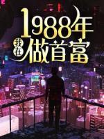 我在1988年做首富