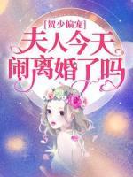 贺少偏宠：夫人今天闹离婚了吗