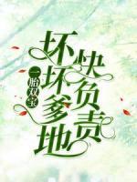 一胎双宝：坏坏爹地快负责