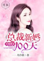 全城蜜恋：总裁新婚100天